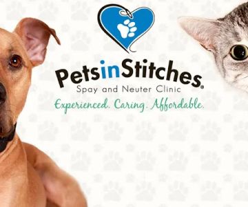 Pets In Stitches