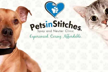Pets In Stitches