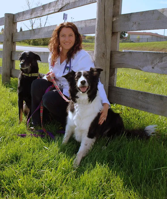Twin Maples Veterinary Hospital 12