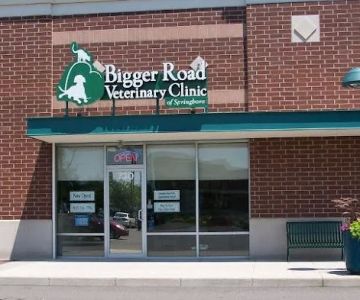 Bigger Road Veterinary Center