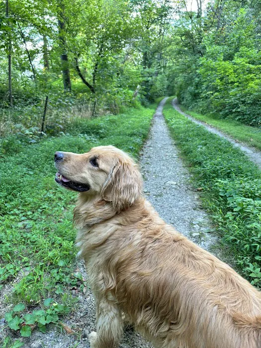 Bigger Road Veterinary Center 9