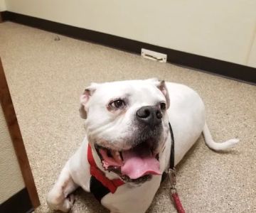 Connersville Veterinary Clinic