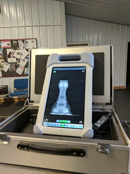 King Veterinary Services 6