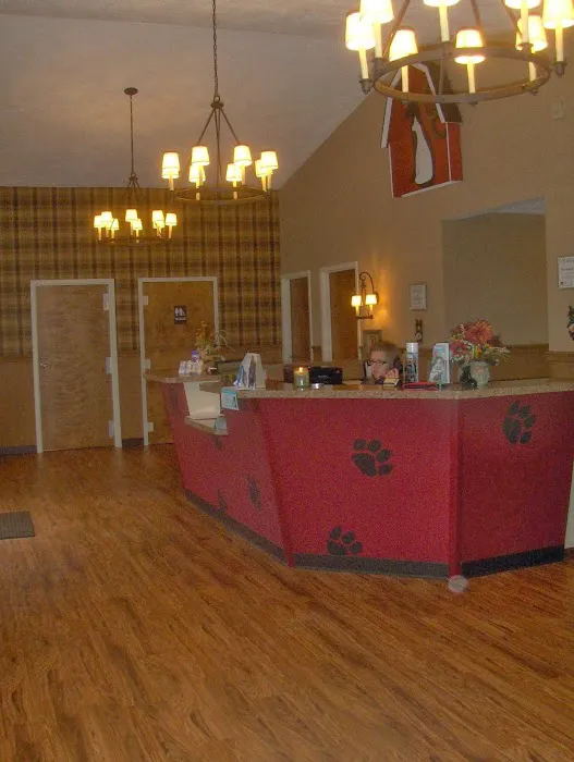 Country Critters Veterinary Hospital 12