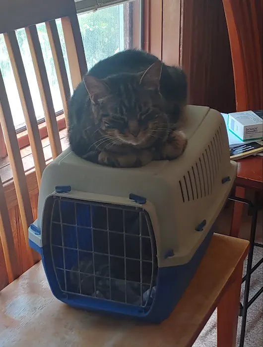 Broadway Veterinary Clinic 12