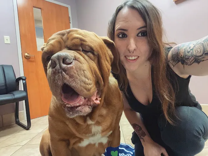 VCA Northwood Animal Hospital 12