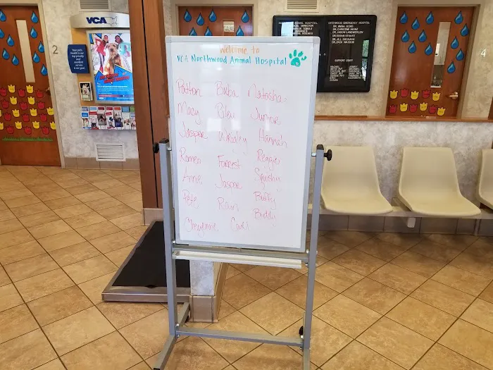 VCA Northwood Animal Hospital 12