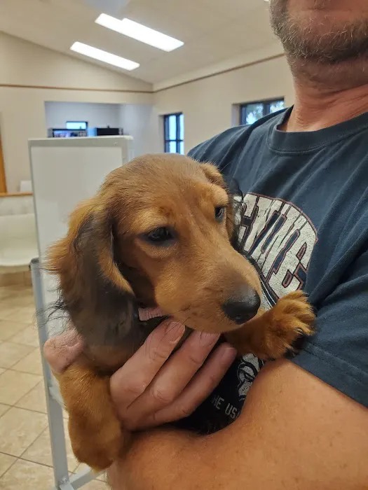 VCA Northwood Animal Hospital 12