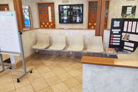 VCA Northwood Animal Hospital