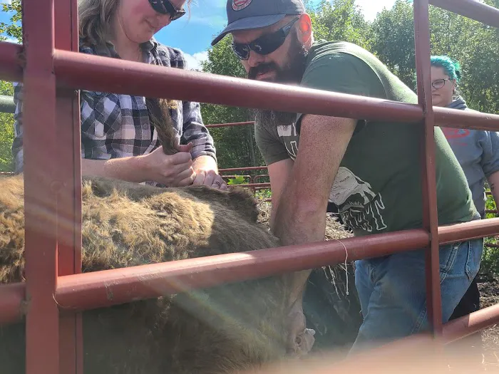 Hoof Beats Mobile Veterinary Services 12