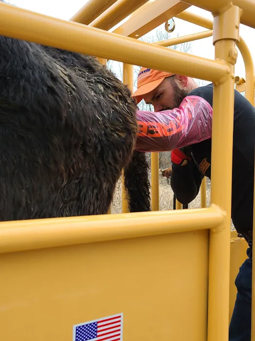 Hoof Beats Mobile Veterinary Services 12