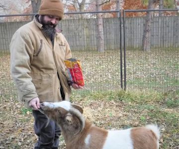Hoof Beats Mobile Veterinary Services