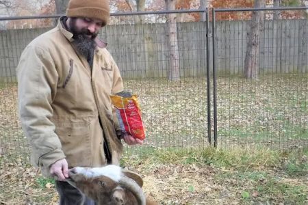 Hoof Beats Mobile Veterinary Services