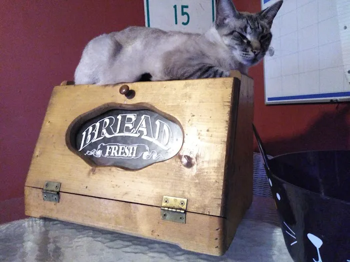Animal Medical Center 2