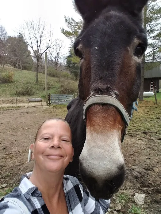 Brookville Veterinary Clinic 1