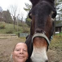 Brookville Veterinary Clinic ico