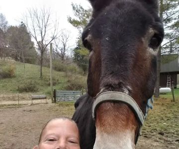 Brookville Veterinary Clinic