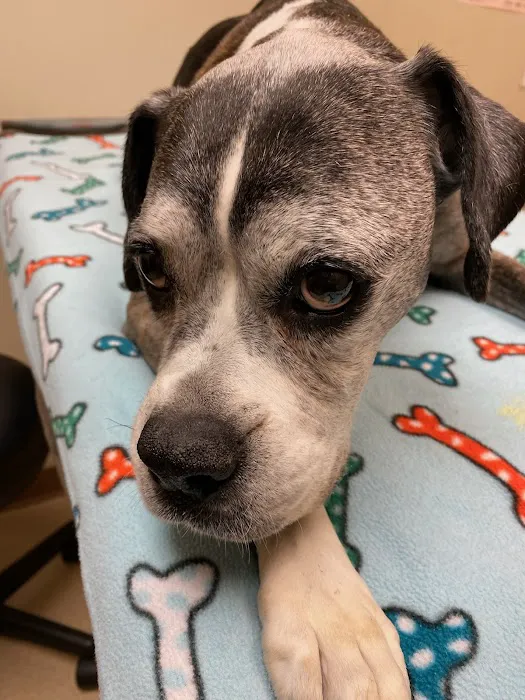 Laughery Valley Veterinary Hospital 12