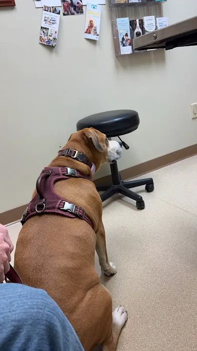 Laughery Valley Veterinary Hospital 12