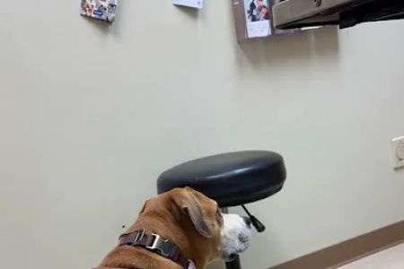Laughery Valley Veterinary Hospital