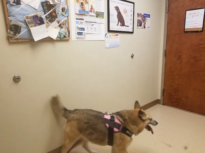 Laughery Valley Veterinary Hospital 12