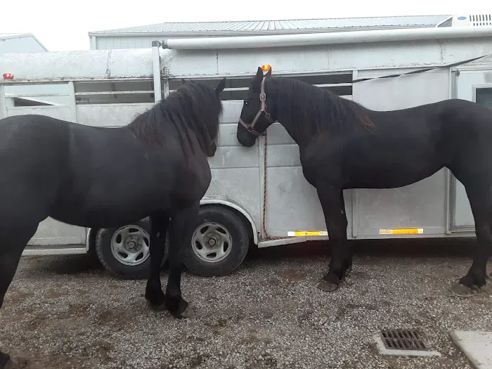 Southern Indiana Equine 12