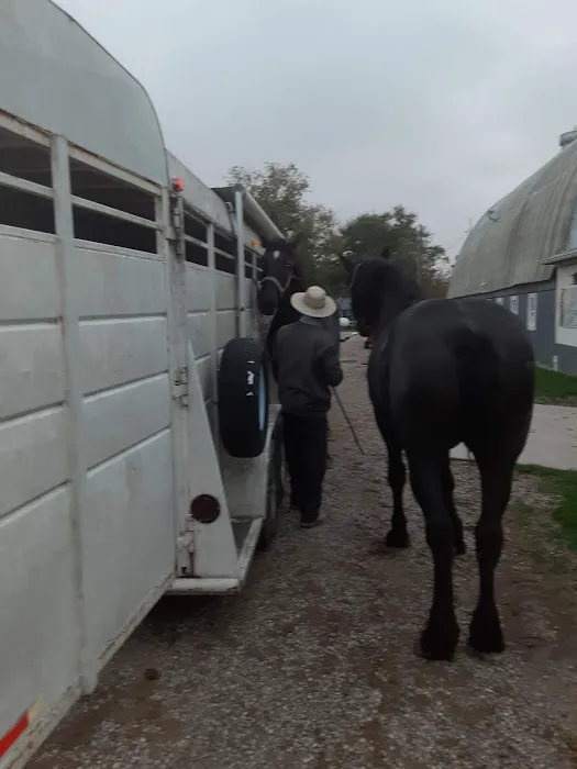 Southern Indiana Equine 12