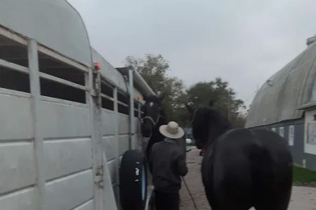Southern Indiana Equine