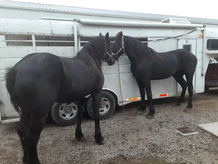Southern Indiana Equine 12