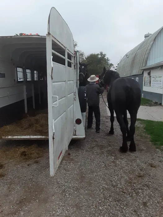 Southern Indiana Equine 12