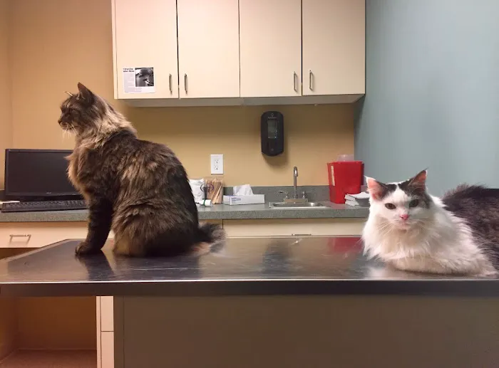 Noah's Ark Animal Clinic of West Chester 4