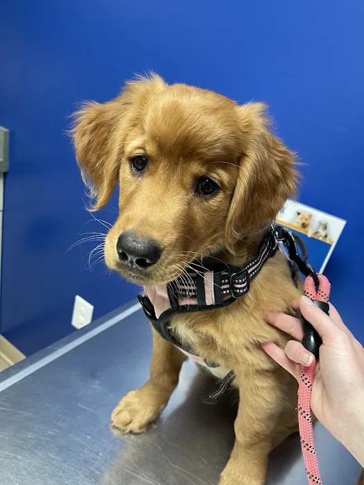 Noah's Ark Animal Clinic of West Chester 8