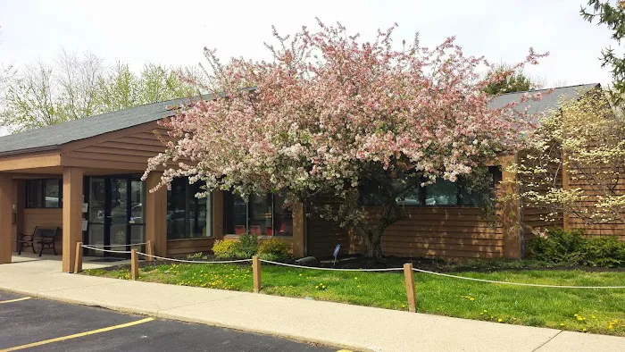 County Animal Hospital 12