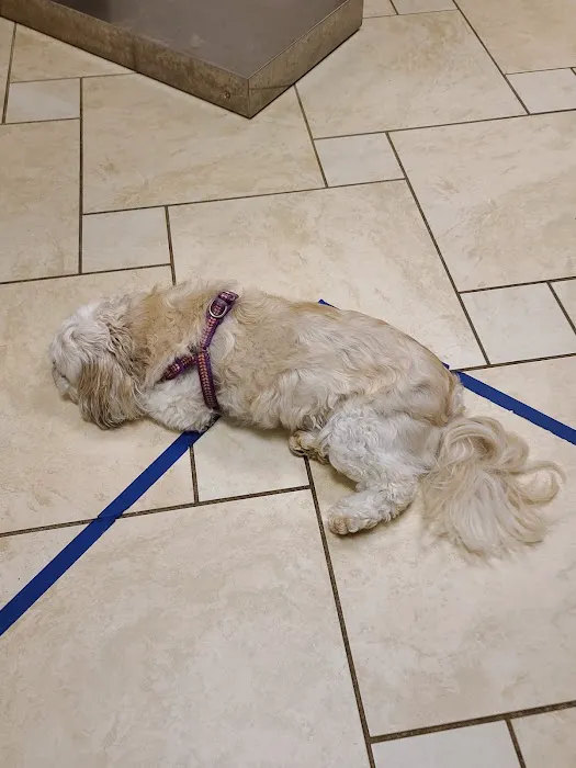 Pfister Animal Hospital 12