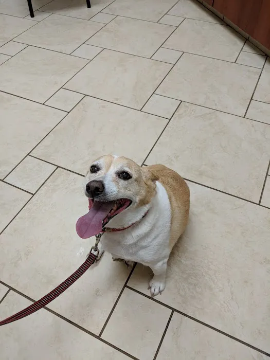 Pfister Animal Hospital 12