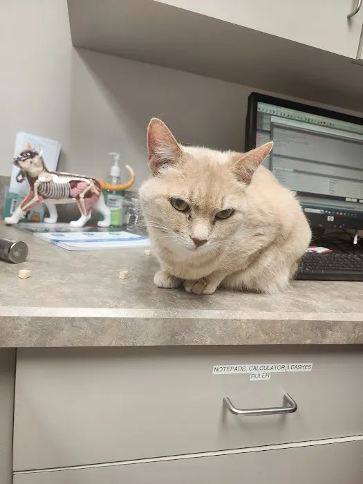 West Chester Veterinary Care (WCVC) 3