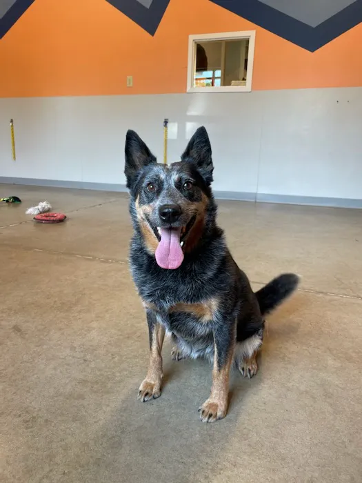 West Chester Veterinary Care (WCVC) 8