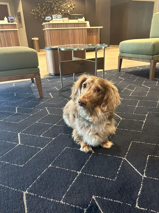 Mason Family Pet Hospital 12