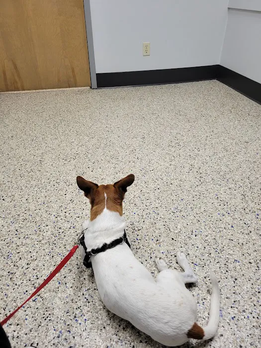 Mason Family Pet Hospital 12