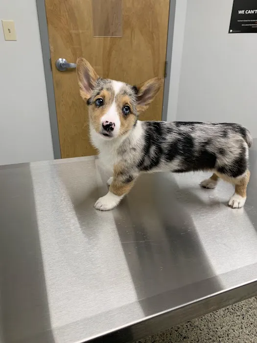 Mason Family Pet Hospital 12