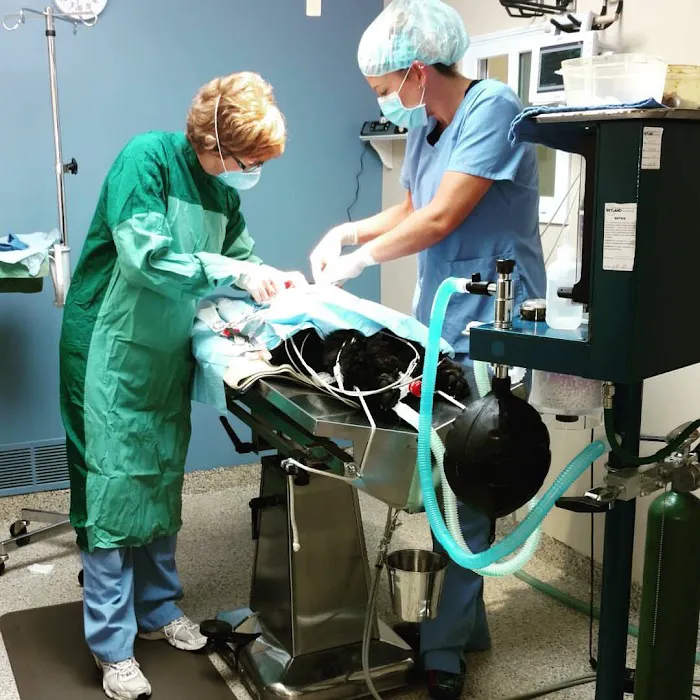 Mason Family Pet Hospital 12