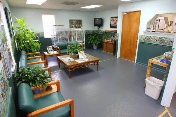 PetCare Animal Hospital 12
