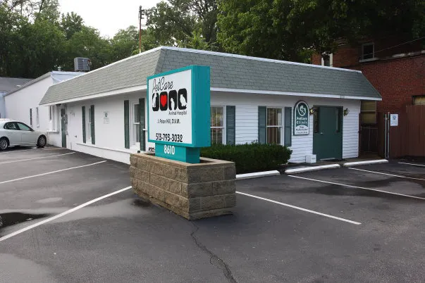 PetCare Animal Hospital 12
