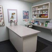 PetCare Animal Hospital ico