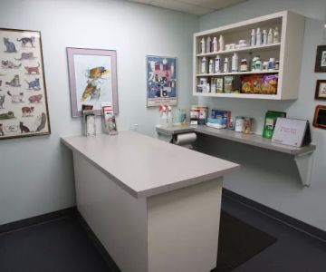 PetCare Animal Hospital