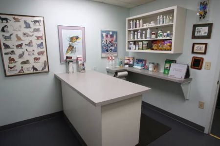 PetCare Animal Hospital