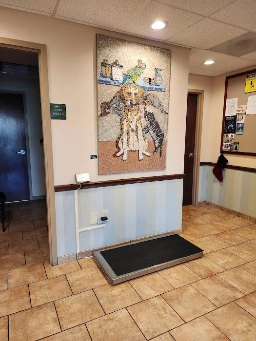 Cincinnati Animal Medical Center 12