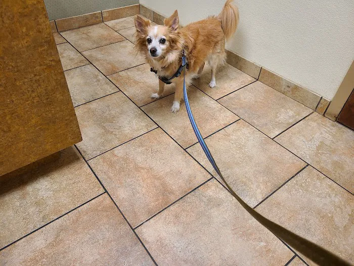 Cincinnati Animal Medical Center 12