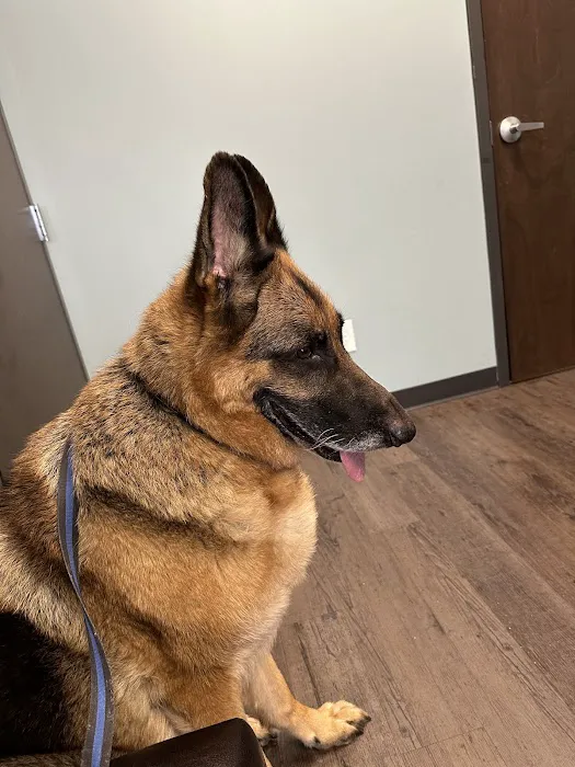 Whiskers and Paws Animal Hospital 5