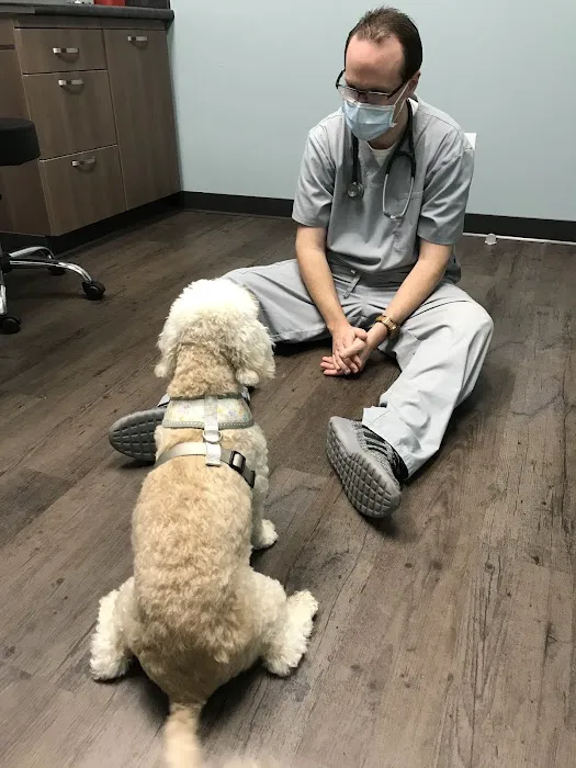 Whiskers and Paws Animal Hospital 2